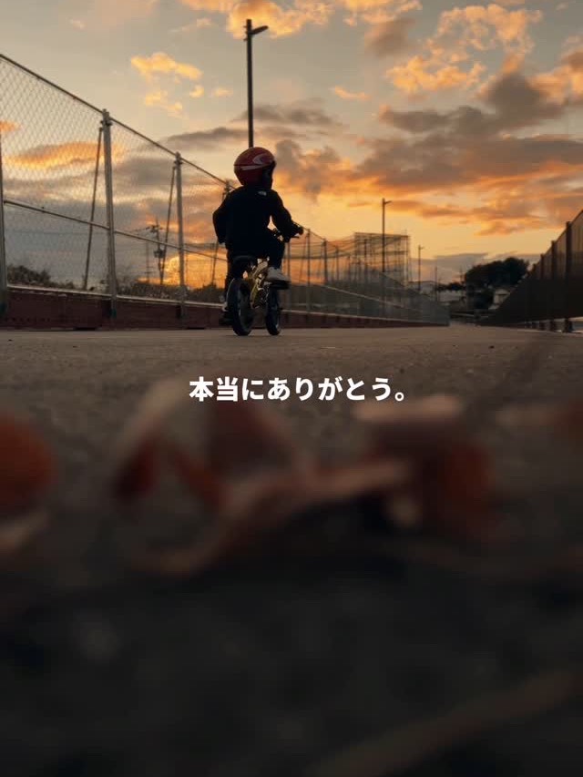 Hollyland｜LARK シリーズ