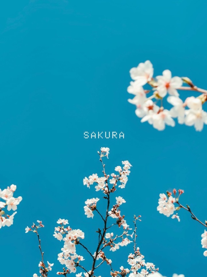 Nothing｜Phone (4a)・Phone (4a) Pro
